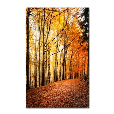 Philippe Sainte-Laudy 'Yellow Moment' Canvas Art,22x32